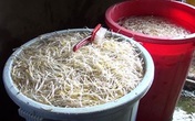 Rùng mình công nghệ sản xuất giá bằng thạch cao và hóa chất Rùng mình công nghệ sản xuất giá bằng thạch cao và hóa chất