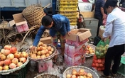 Ngàn tấn hoa quả TQ ai ăn hết? Ngàn tấn hoa quả TQ ai ăn hết?
