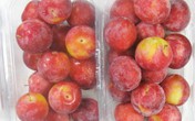 Chê mận Việt, nhà giàu khoái ăn mận Mỹ 600 ngàn/kg Chê mận Việt, nhà giàu khoái ăn mận Mỹ 600 ngàn/kg
