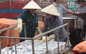 Ngư dân miền Trung được mời họp xin ý kiến về đền bù của Formosa Ngư dân miền Trung được mời họp xin ý kiến về đền bù của Formosa