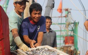 Biển Quỳnh Lưu cá đầy thuyền sau thảm họa nước thải Formosa Biển Quỳnh Lưu cá đầy thuyền sau thảm họa nước thải Formosa