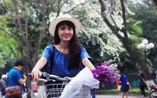 Hà Nội trở mình "thay áo" bởi sắc trắng hoa sưa Hà Nội trở mình "thay áo" bởi sắc trắng hoa sưa