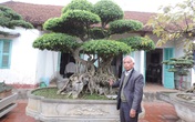 Thăm vườn cây cảnh hàng chục tỷ của lão nông dân Hà thành Thăm vườn cây cảnh hàng chục tỷ của lão nông dân Hà thành