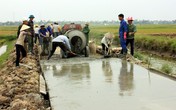 Hải Phòng: 15 xã đạt chuẩn nông thôn mới Hải Phòng: 15 xã đạt chuẩn nông thôn mới