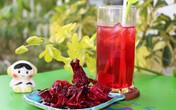 Những ai không nên uống atisô, nước gạo lứt rang? Những ai không nên uống atisô, nước gạo lứt rang?