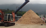 Thanh Hóa: Bùng phát hàng loạt các cơ sở chế biến gỗ dăm không phép Thanh Hóa: Bùng phát hàng loạt các cơ sở chế biến gỗ dăm không phép