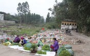 Du xuân tâm linh: Nhiều rác thải và giá “chát” ở điểm đến đẹp Du xuân tâm linh: Nhiều rác thải và giá “chát” ở điểm đến đẹp