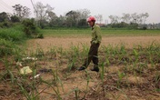 Con tổ chức cưới, bố chém khách đến dự Con tổ chức cưới, bố chém khách đến dự