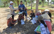 Tiền Giang triển khai Đề án 52: Truyền thông dân số xứ Gò Công Tiền Giang triển khai Đề án 52: Truyền thông dân số xứ Gò Công