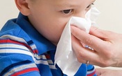 Suýt hại con vì xử lý chảy máu cam sai cách Suýt hại con vì xử lý chảy máu cam sai cách