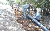 Tiền Giang: Tập trung “cứu khát” gần 1.000 hộ dân Tiền Giang: Tập trung “cứu khát” gần 1.000 hộ dân