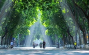Cách phạt đáng học hỏi Cách phạt đáng học hỏi