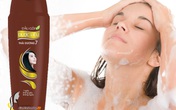 Chuyên gia khẳng định Ketoconazole trong dầu gội đảm bảo an toàn Chuyên gia khẳng định Ketoconazole trong dầu gội đảm bảo an toàn