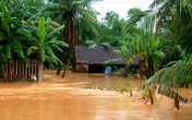 Những băn khoăn đằng sau 40 dự án thủy điện ở Quảng Nam Những băn khoăn đằng sau 40 dự án thủy điện ở Quảng Nam