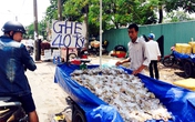 Ghẹ Vũng Tàu "siêu rẻ" bán đầy đường Sài Gòn Ghẹ Vũng Tàu "siêu rẻ" bán đầy đường Sài Gòn
