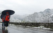 Giá rét khủng khiếp tại Đài Loan, ít nhất 85 người chết Giá rét khủng khiếp tại Đài Loan, ít nhất 85 người chết