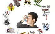 Giải đáp 8 thắc mắc thường gặp về bệnh hen suyễn Giải đáp 8 thắc mắc thường gặp về bệnh hen suyễn