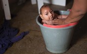 Virus Zika vào đề thi môn Tiếng Anh, Sinh học Virus Zika vào đề thi môn Tiếng Anh, Sinh học