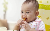 Dùng nhiều thức ăn xay nhuyễn liệu có làm trẻ biếng ăn? Dùng nhiều thức ăn xay nhuyễn liệu có làm trẻ biếng ăn?