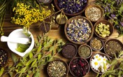 Đẩy lùi bệnh cường giáp và cải thiện giấc ngủ nhờ thảo dược Đẩy lùi bệnh cường giáp và cải thiện giấc ngủ nhờ thảo dược