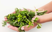 4 tuyệt chiêu giúp bạn giảm ngứa do bệnh chàm 4 tuyệt chiêu giúp bạn giảm ngứa do bệnh chàm