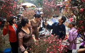 Nghỉ Tết 7 hay 10 ngày? Nghỉ Tết 7 hay 10 ngày?