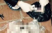 Bác bỏ tin “một trưa bới rác tìm được 67 sinh linh vắn số” Bác bỏ tin “một trưa bới rác tìm được 67 sinh linh vắn số”