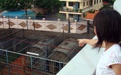 Hổ cắn chết nhân viên chăm sóc ở Bình Dương Hổ cắn chết nhân viên chăm sóc ở Bình Dương