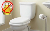 Hậu quả khi bạn đổ thức ăn thừa vào toilet Hậu quả khi bạn đổ thức ăn thừa vào toilet