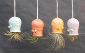 16 mẫu thiết kế chậu cây treo trong nhà vừa bắt mắt vừa độc đáo 16 mẫu thiết kế chậu cây treo trong nhà vừa bắt mắt vừa độc đáo