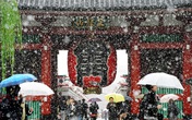 Tokyo lần đầu có tuyết giữa tháng 11 trong hơn nửa thế kỷ Tokyo lần đầu có tuyết giữa tháng 11 trong hơn nửa thế kỷ
