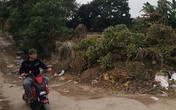 Cận Tết, quất lại chết khô khiến chủ vườn lao đao, vỡ nợ Cận Tết, quất lại chết khô khiến chủ vườn lao đao, vỡ nợ