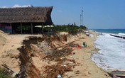 Kinh hoàng sạt lở ở bờ biển Cửa Đại, Hội An Kinh hoàng sạt lở ở bờ biển Cửa Đại, Hội An