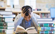 Bí quyết giúp sĩ tử có sức khỏe vượt “vũ môn” Bí quyết giúp sĩ tử có sức khỏe vượt “vũ môn”