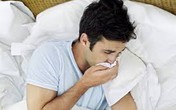 Sự thật không phải ai cũng biết về cảm lạnh Sự thật không phải ai cũng biết về cảm lạnh