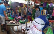 Hàng tấn cá ươn “leo” lên… bàn nhậu Hàng tấn cá ươn “leo” lên… bàn nhậu