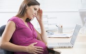 Thai nhi có được hưởng thừa kế không? Thai nhi có được hưởng thừa kế không?