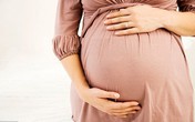 Bác sĩ nói về vụ tử tù mang thai từ tinh trùng mua trong trại giam Bác sĩ nói về vụ tử tù mang thai từ tinh trùng mua trong trại giam