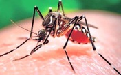 Người đàn ông Đài Loan nhiễm Zika sau khi dự đám cưới con trai tại Việt Nam Người đàn ông Đài Loan nhiễm Zika sau khi dự đám cưới con trai tại Việt Nam