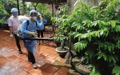 Hà Nội cảnh báo nguy cơ đỉnh dịch sốt xuất huyết thứ 2 Hà Nội cảnh báo nguy cơ đỉnh dịch sốt xuất huyết thứ 2