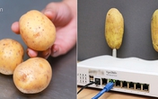 Cả nhà bạn gái "sốc" khi anh chàng sang chơi cầm theo hai củ khoai tây và cắm lên cục wifi Cả nhà bạn gái "sốc" khi anh chàng sang chơi cầm theo hai củ khoai tây và cắm lên cục wifi
