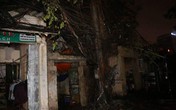 Trời nóng kỷ lục, cột điện nổ tung, hàng trăm hộ dân chìm trong bóng tối Trời nóng kỷ lục, cột điện nổ tung, hàng trăm hộ dân chìm trong bóng tối