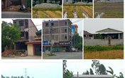 UBND huyện Tiên Lữ chỉ đạo làm rõ việc trục lợi trên đất nông nghiệp tại xã Ngô Quyền và Hưng Đạo UBND huyện Tiên Lữ chỉ đạo làm rõ việc trục lợi trên đất nông nghiệp tại xã Ngô Quyền và Hưng Đạo