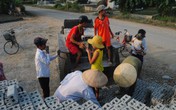 Phu gạch tuổi…lên 10 Phu gạch tuổi…lên 10