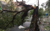 Đường phố ngổn ngang, nhà mất mái khi bão số 12 đổ bộ Đường phố ngổn ngang, nhà mất mái khi bão số 12 đổ bộ
