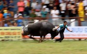 Mạo hiểm và man dại Mạo hiểm và man dại