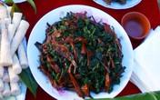 Lá ngón xào tỏi: Đặc sản đáng sợ, run rẩy ăn thử Lá ngón xào tỏi: Đặc sản đáng sợ, run rẩy ăn thử