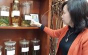 Thực hư cây dược liệu quý chữa khỏi ung thư? Thực hư cây dược liệu quý chữa khỏi ung thư?