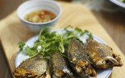 Thâm cung bí sử (116 - 1): Kỷ niệm cá rô đồng Thâm cung bí sử (116 - 1): Kỷ niệm cá rô đồng