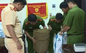Nghệ An: Bắt giữ 4 đối tượng mua bán, vận chuyển 120 kg cần sa Nghệ An: Bắt giữ 4 đối tượng mua bán, vận chuyển 120 kg cần sa